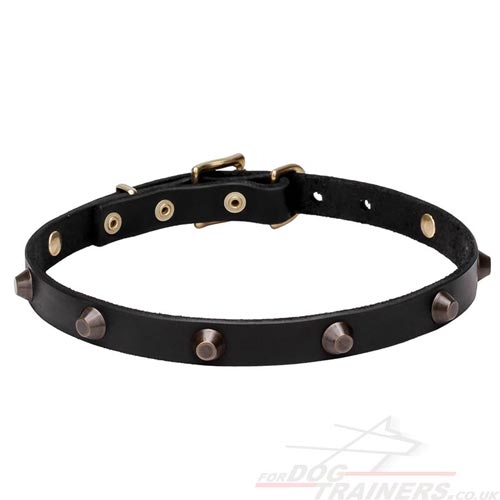 Fine Leather Dog Collar with Elegant Brass Cones