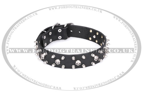 Marvellous Pirate Themed Dog Collar with Spikes by FDT Artisan