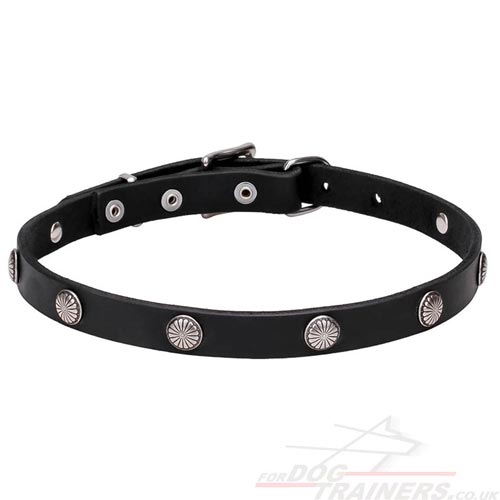 Ethnic Dog Collars Designs with Silver-Like Studs