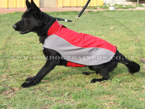 Warm German Shepherd Dog Jacket for Winter, Cold and Wet