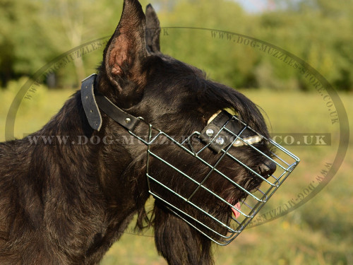 New Metal STRONG Giant Schnauzer Wire Basket Dog Muzzle