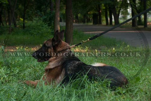 Choke Dog Collar for German Shepherd Padded with Soft Leather