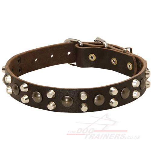 Hand Made Collars | Dog Collar Designer Style for the Best Price