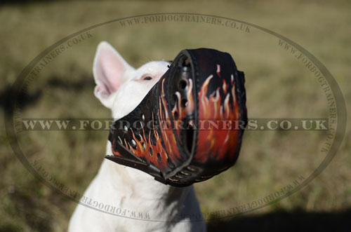 "Flame" Painted Leather Dog Muzzle for English Bull Terrier UK