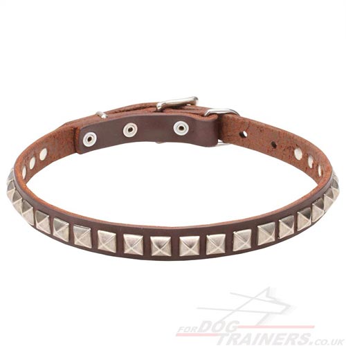 NEW! Pretty Dog Collar with Silver Studs