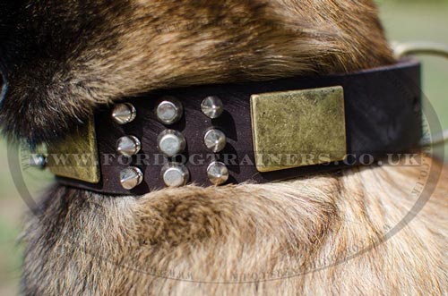 Handmade Dog Collars for Belgian Malinois | Studded Dog Collars