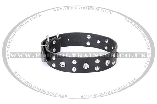 Adjustable Leather Skull Dog Collar by FDT Artisan
