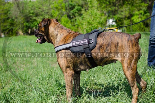 New Reflexive Nylon Dog Harness for Boxer Dog Training