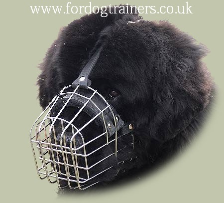 Wire Basket Dog Muzzle for Newfoundland | Newfoundland Muzzle