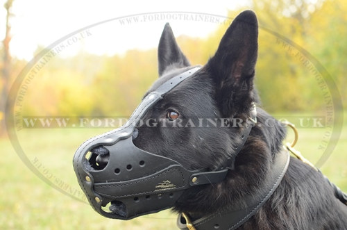 Muzzle size for german shepherd hotsell