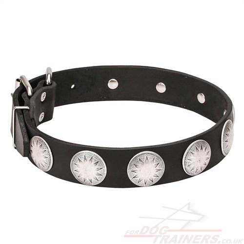 Antique Studded Dog Collars for Large Dogs "Moonlight"