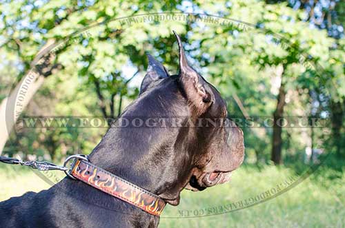 Large Dog Collar for Great Dane with Painting Flame