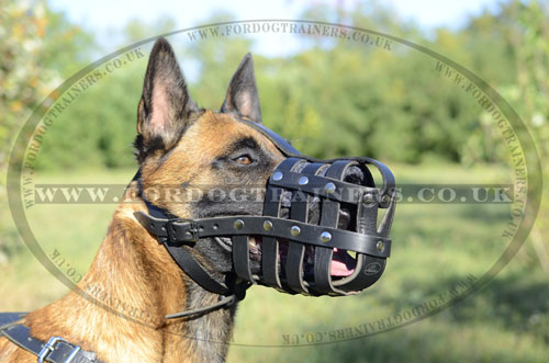 Soft & Light Leather Basket Dog Muzzle for Belgian Malinois