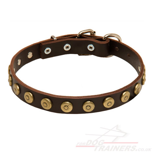 Leather Dog Collars for Small Dogs | Small Dog Collars UK