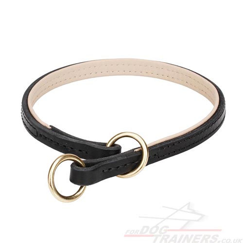 Soft Nappa Padded Leather Choke Dog Collar