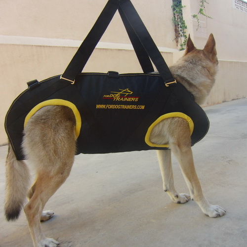 Dog Tactical Insertion Harness