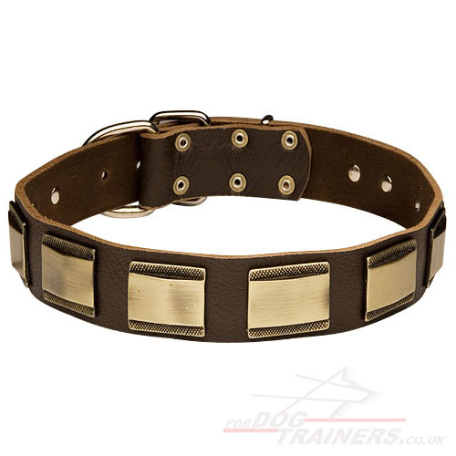 New Dog Collar Gorgeous Leather and Brass