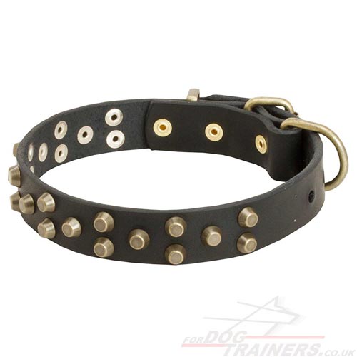 Elegant Dog Collar with Brass Pyramids - High Quality Leather