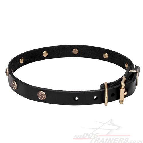 Genuine Leather Dog Collar with Brass Flowery Studs