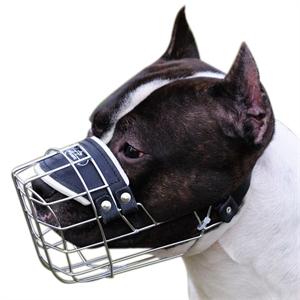 The Best Wire Basket Dog Muzzle for Staffy that Allows Drinking - Click Image to Close
