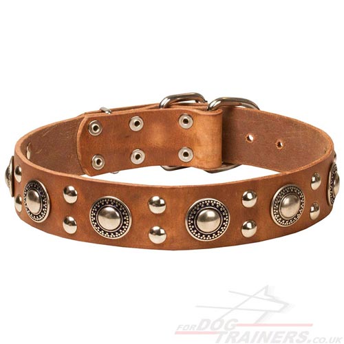 Strong Stuff Dog Gear: Luxury Dog Collars with Medals and Studs