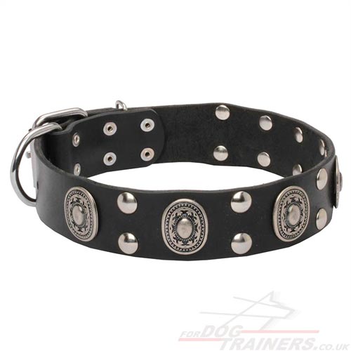 Designer Dog Collars with Vintage Medals&Studs, Dog Fashion