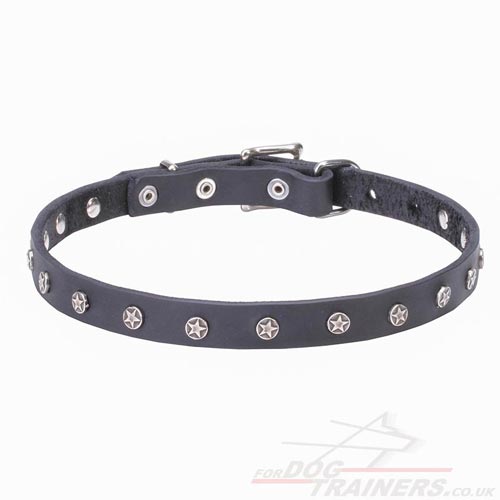 New Collection of Nice Dog Collars for Pretty Dogs