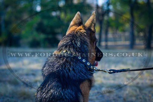 Handmade Leather Dog Collar for German Shepherd with Medals