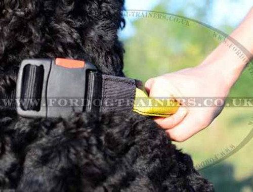 Collar with Handle for Dogs | Black Russian Terrier Collars