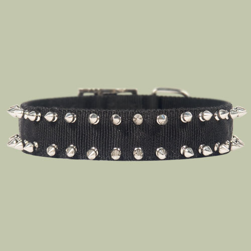 nylon spiked dog collar all dog sizes