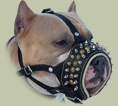 Royal Leather Dog Muzzle for Pitbull | Pitbull Muzzle UK