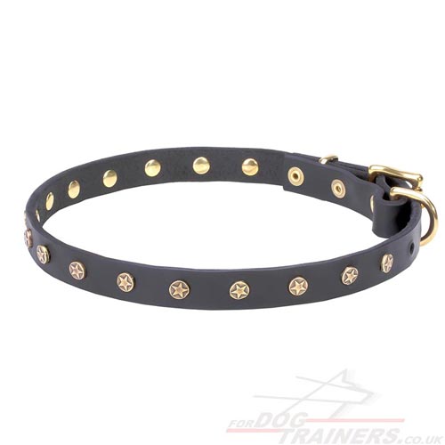 Precious Dog Collar Design with Stellar Studs of Brass
