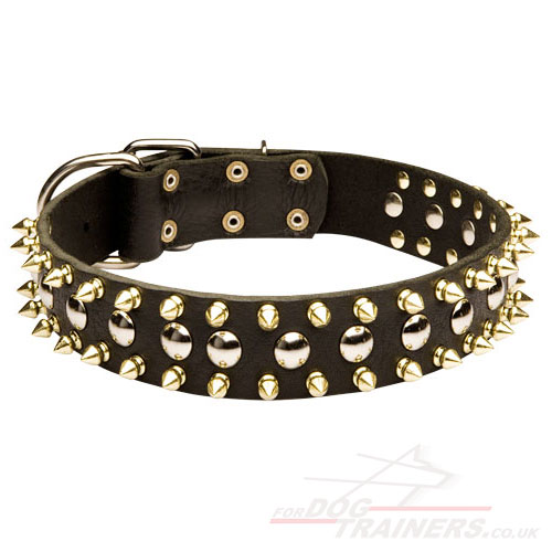 Pretty Dog Collar with Glancing Spikes and Studs NEW DESIGN!