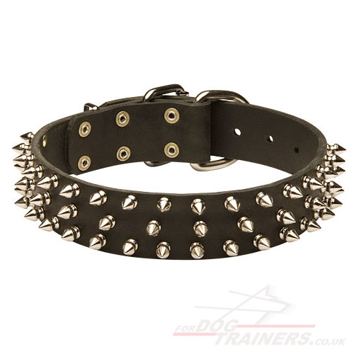 Leather Dogs Collars for Belgian Malinois