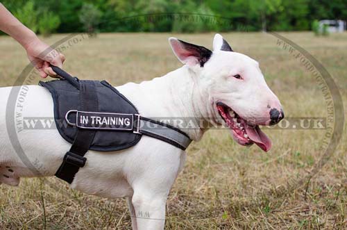 Reflective Dog Harness for English Bull Terrier with Handle