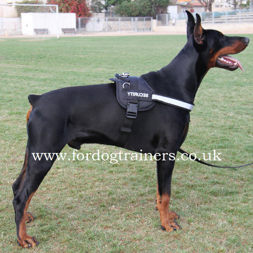 Light-Reflecting Dog Harness for Doberman with Sign Patches