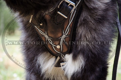 Exclusive Leather Dog Training Harness for Caucasian Shepherd - Click Image to Close