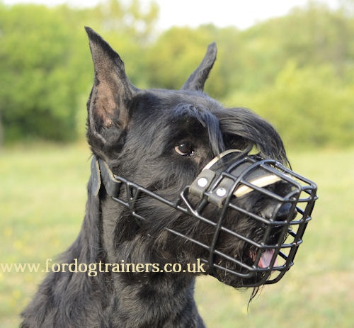 Muzzles for Dogs UK Bestsellers! Perfect for Wet and Cold