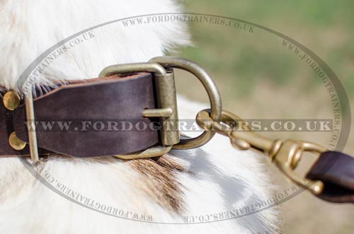 New Dog Collar for Siberian Husky | Designer Dog Collars UK