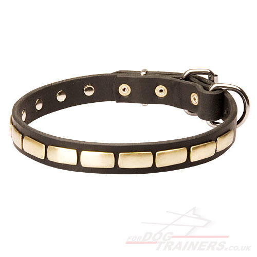 Studded Leather Dog Collar Necklace - Click Image to Close