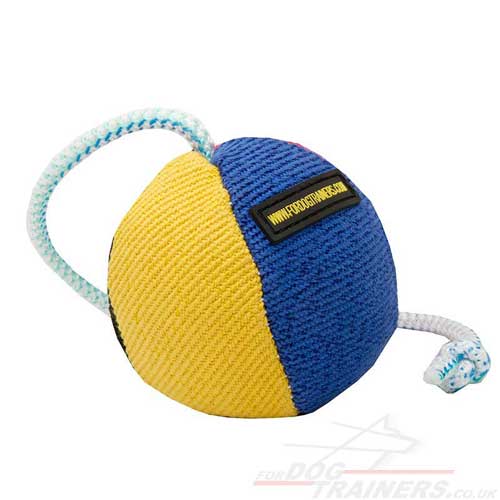 Strong and Soft Dog Toy on String for Interactive Dog Games 9 cm - Click Image to Close