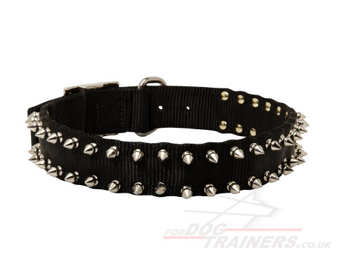Black Nylon Spiked Dog Collar with Metal Buckle and D Ring