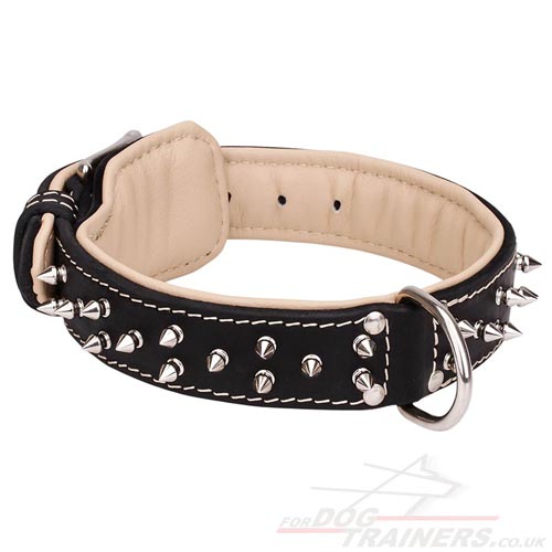 Leather Dog Collar with Nickel Spikes