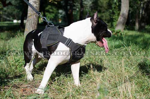 NEW Staffordshire Bull Terrier Harness Nylon with Handle