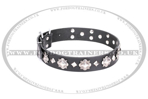 Vintage Style Studded Dog Collar Exclusive from FDT Artisan