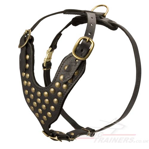 Brand-New Handmade Leather Dog Harness Studded with Brass Rivets