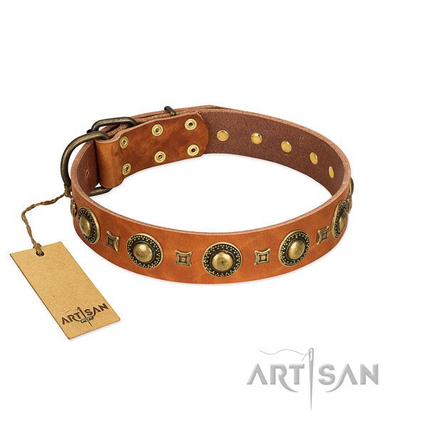 High-quality Tan Studded Dog Collar by FDT Artisan High-quality Tan Studded Dog Collar by FDT Artisan