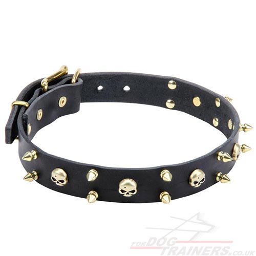Special Design of Dog Collar with Brass Spikes and Skulls