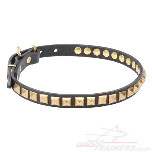 Splendid Design of Dog Leather Collar with Square Brass Studs