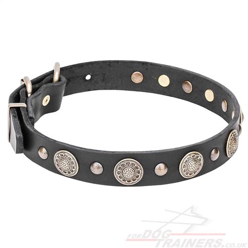 Premium Quality Leather Dog Collar with Stylish Brass Elements